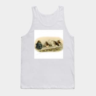 “Guinea Pig Garden” by Beatrix Potter Tank Top